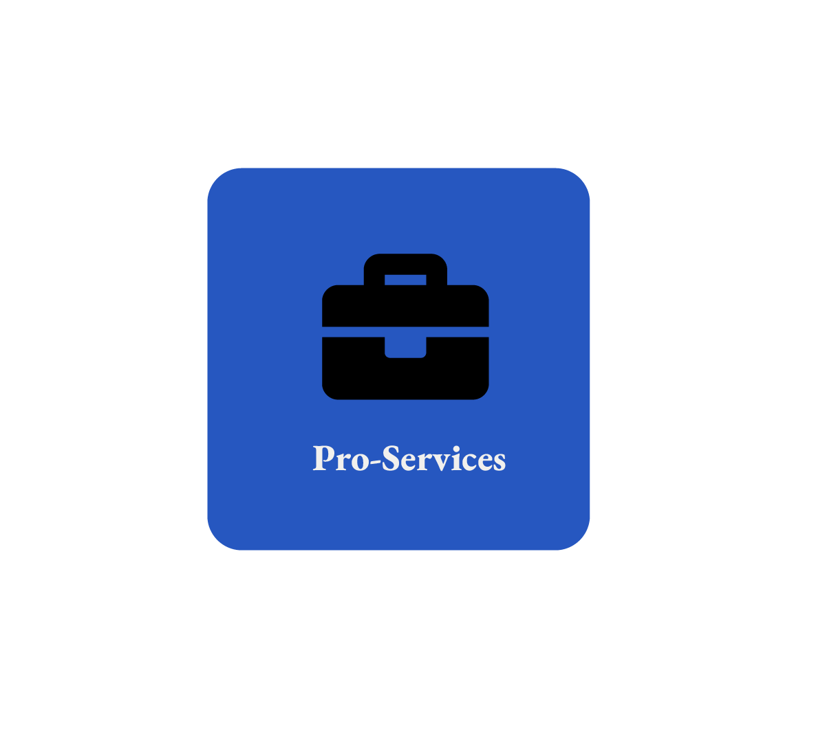 Professional Services